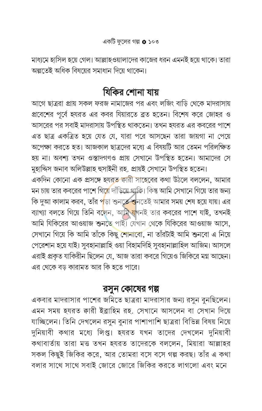 পাতা 13