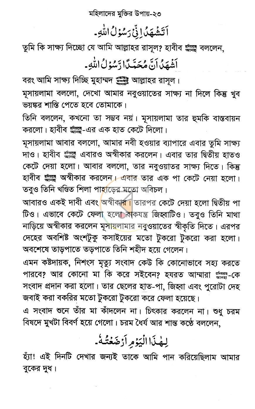 পাতা 13