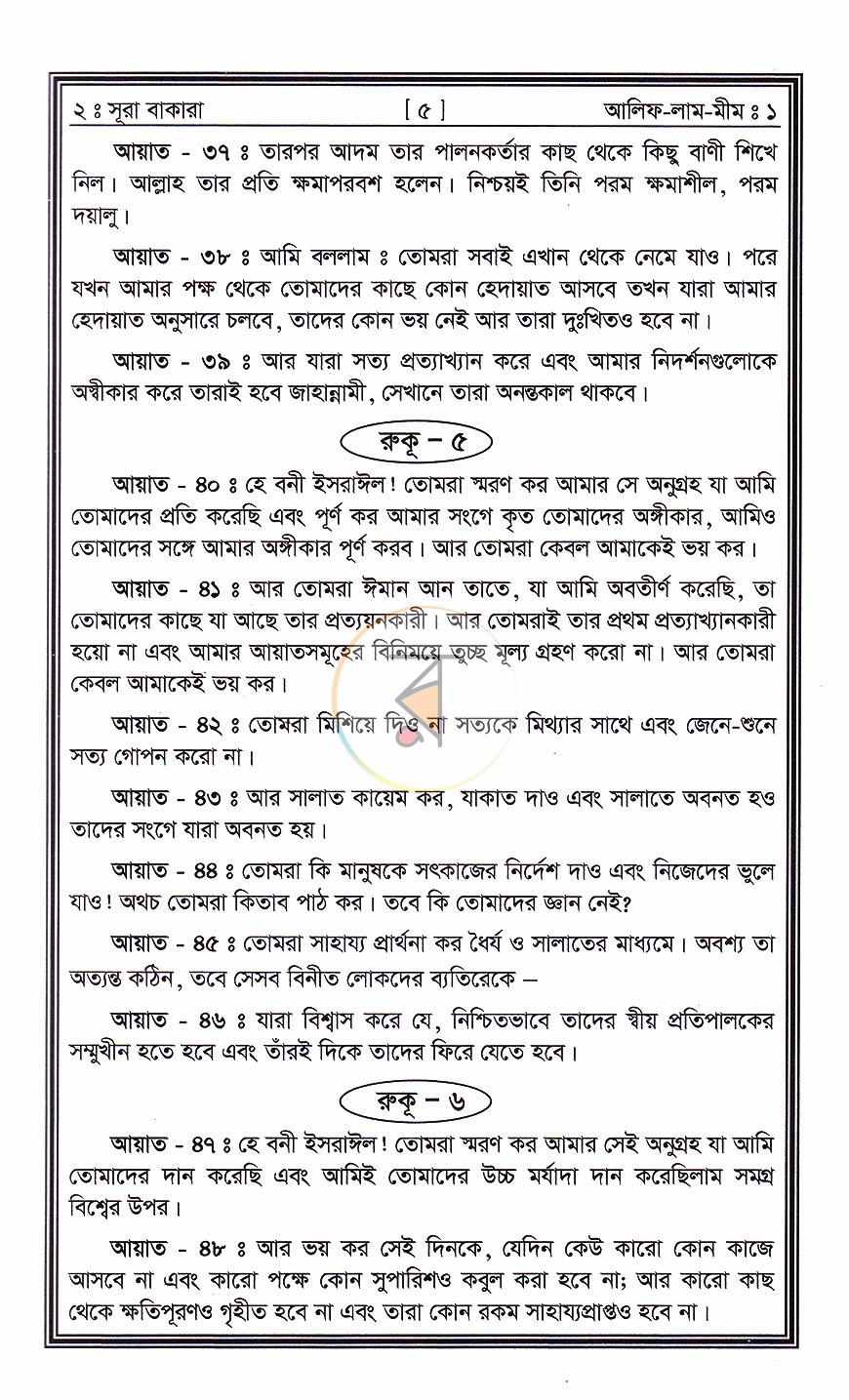 পাতা 8