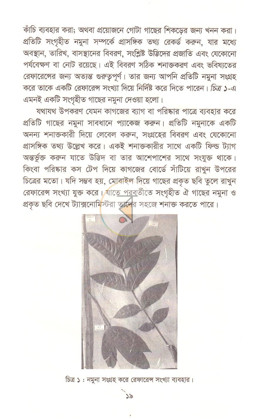 পাতা 10
