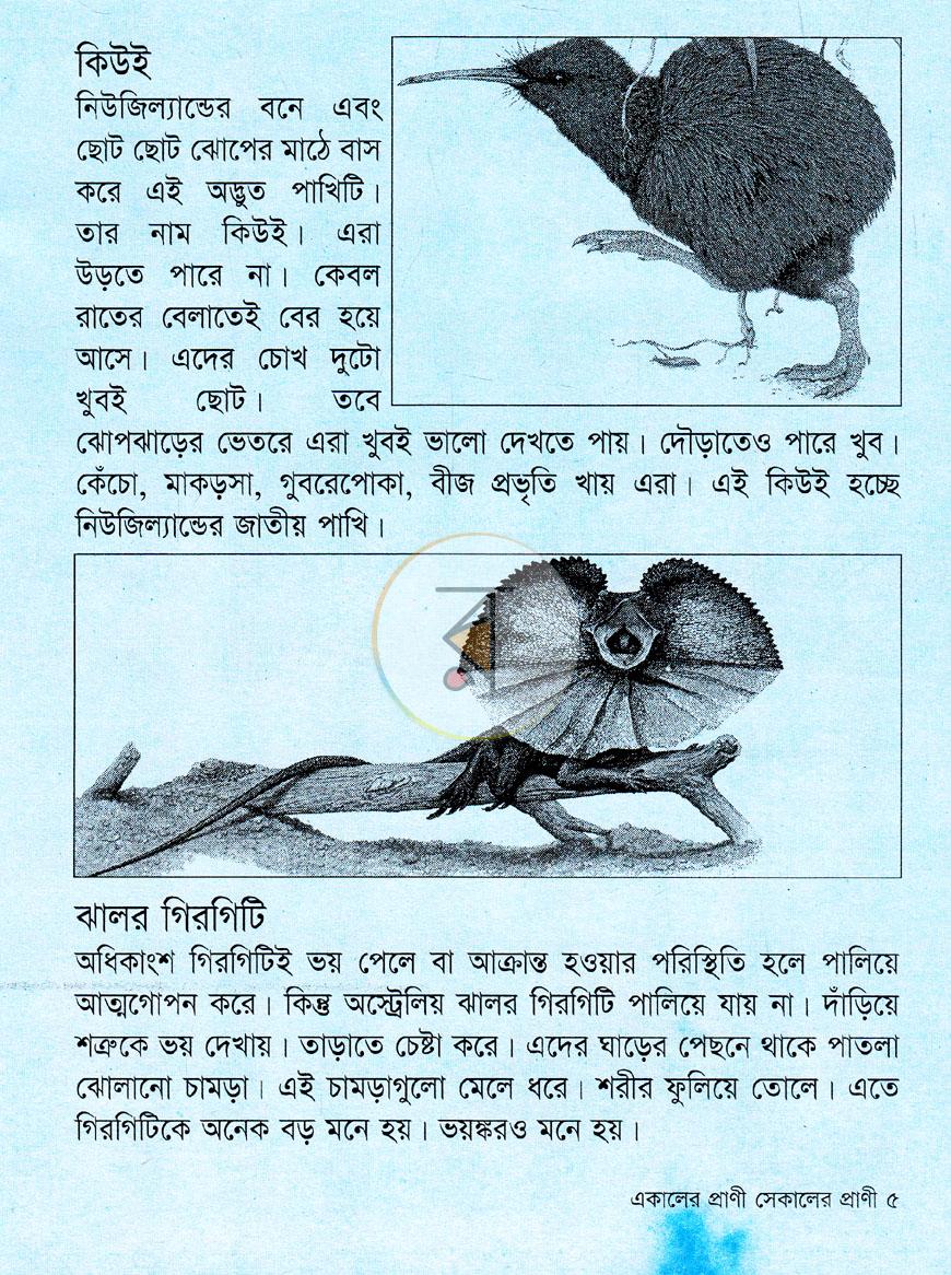 পাতা 3