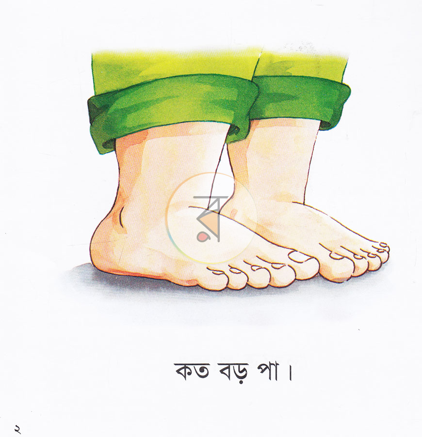 পাতা 2