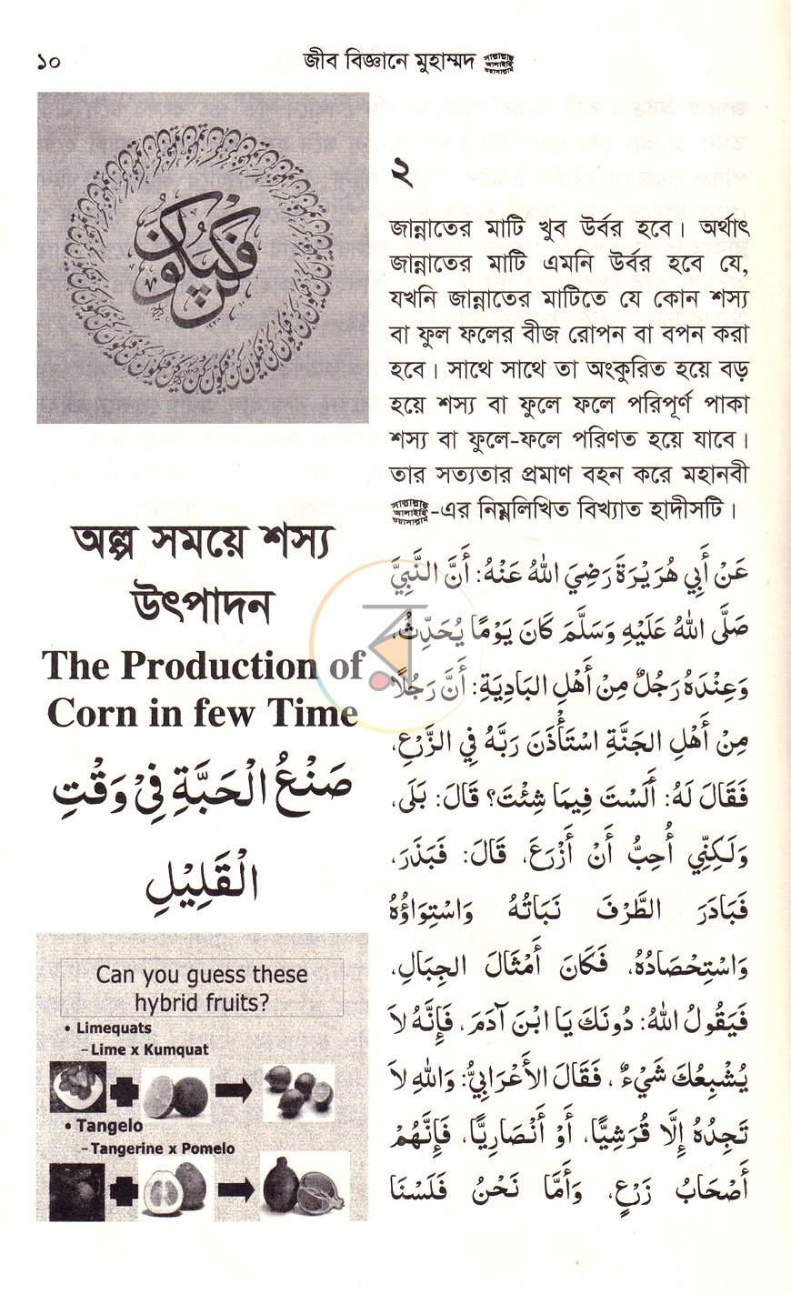 পাতা 13