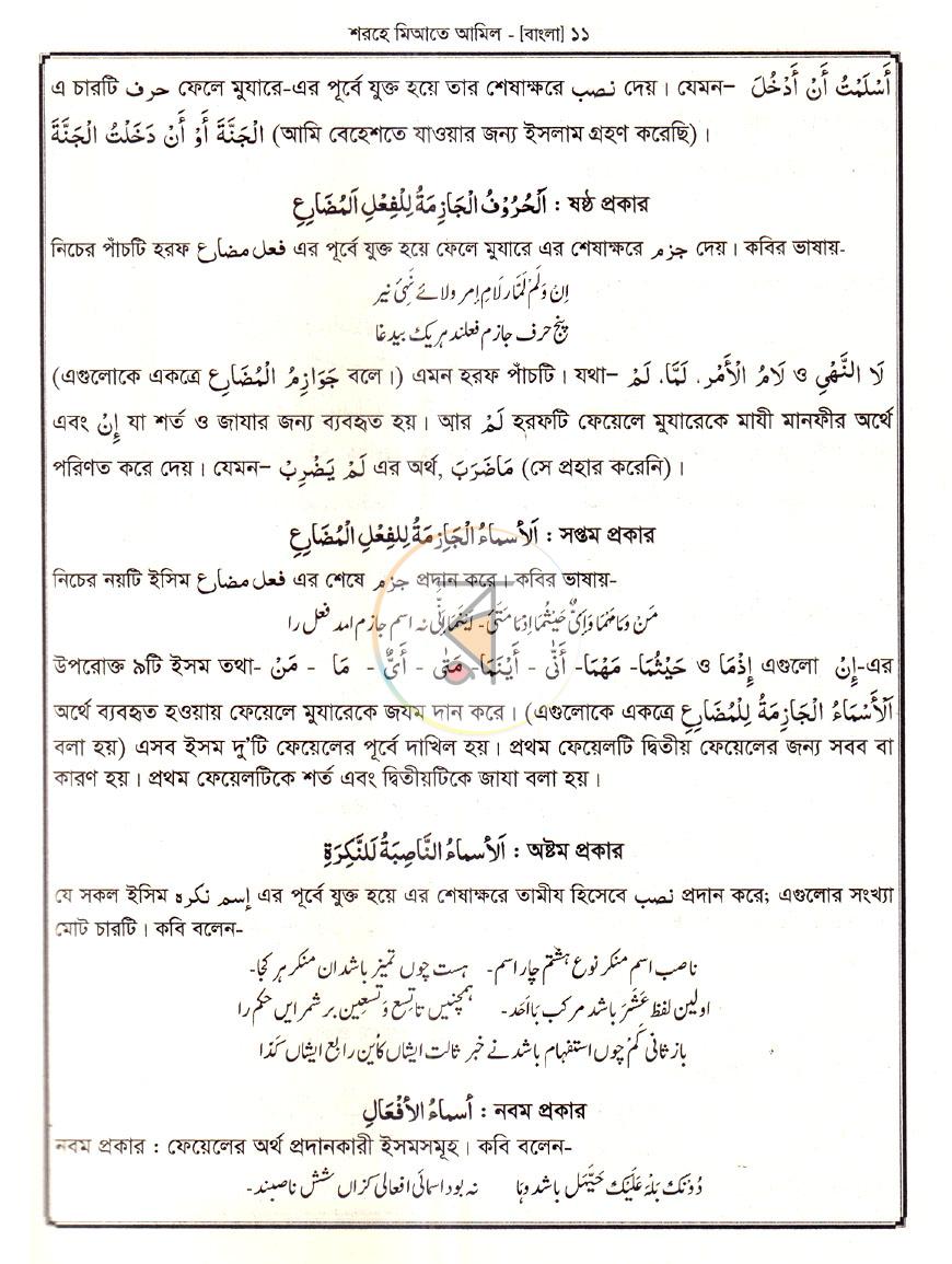 পাতা 8