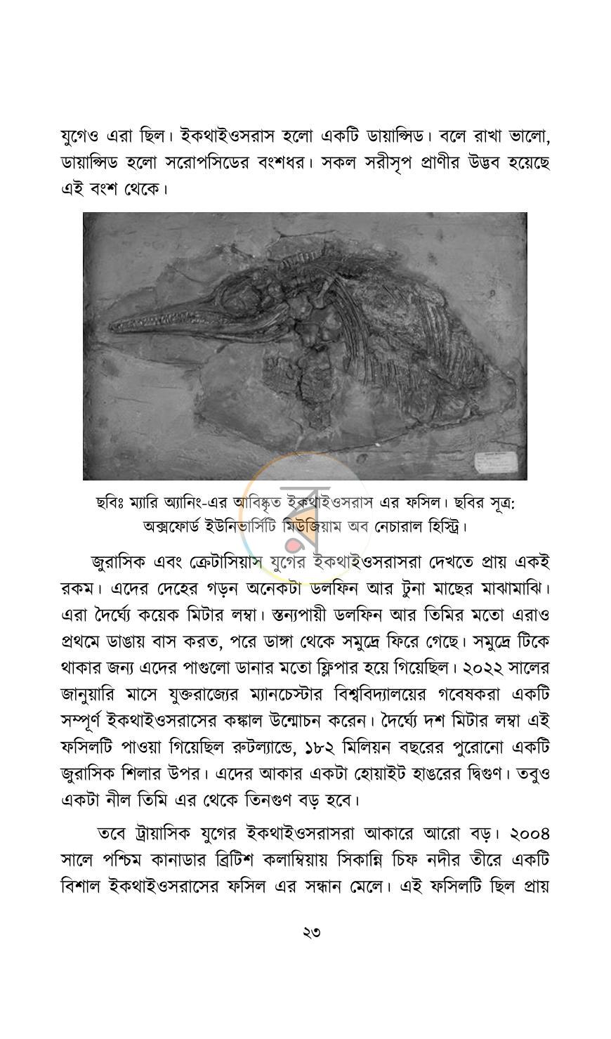 পাতা 7