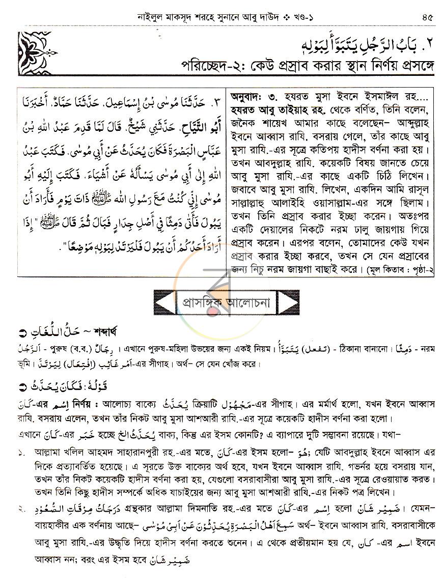 পাতা 17