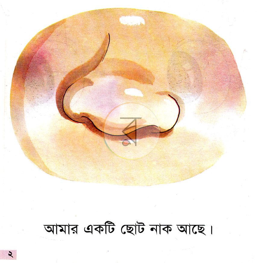 পাতা 2