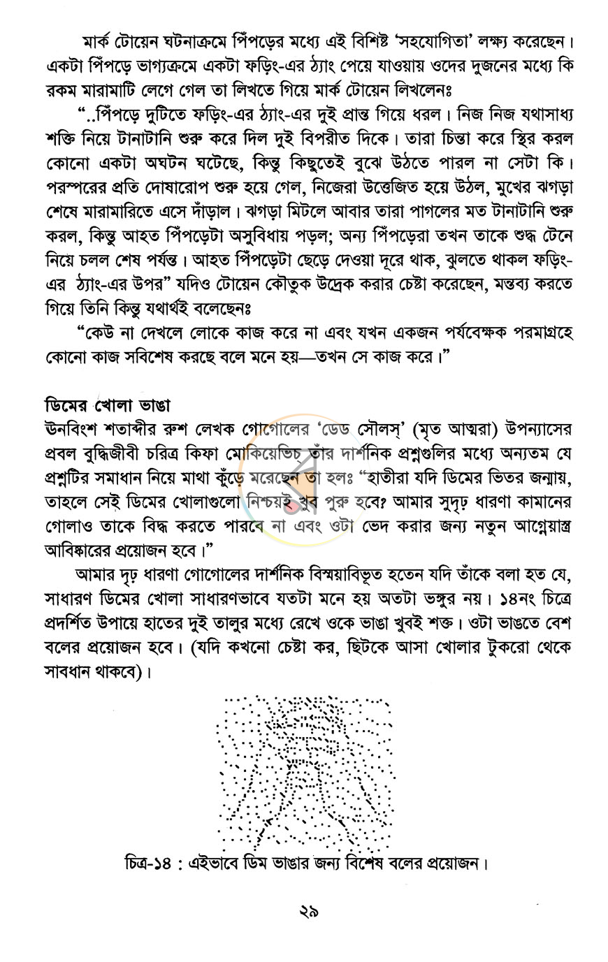 পাতা 13