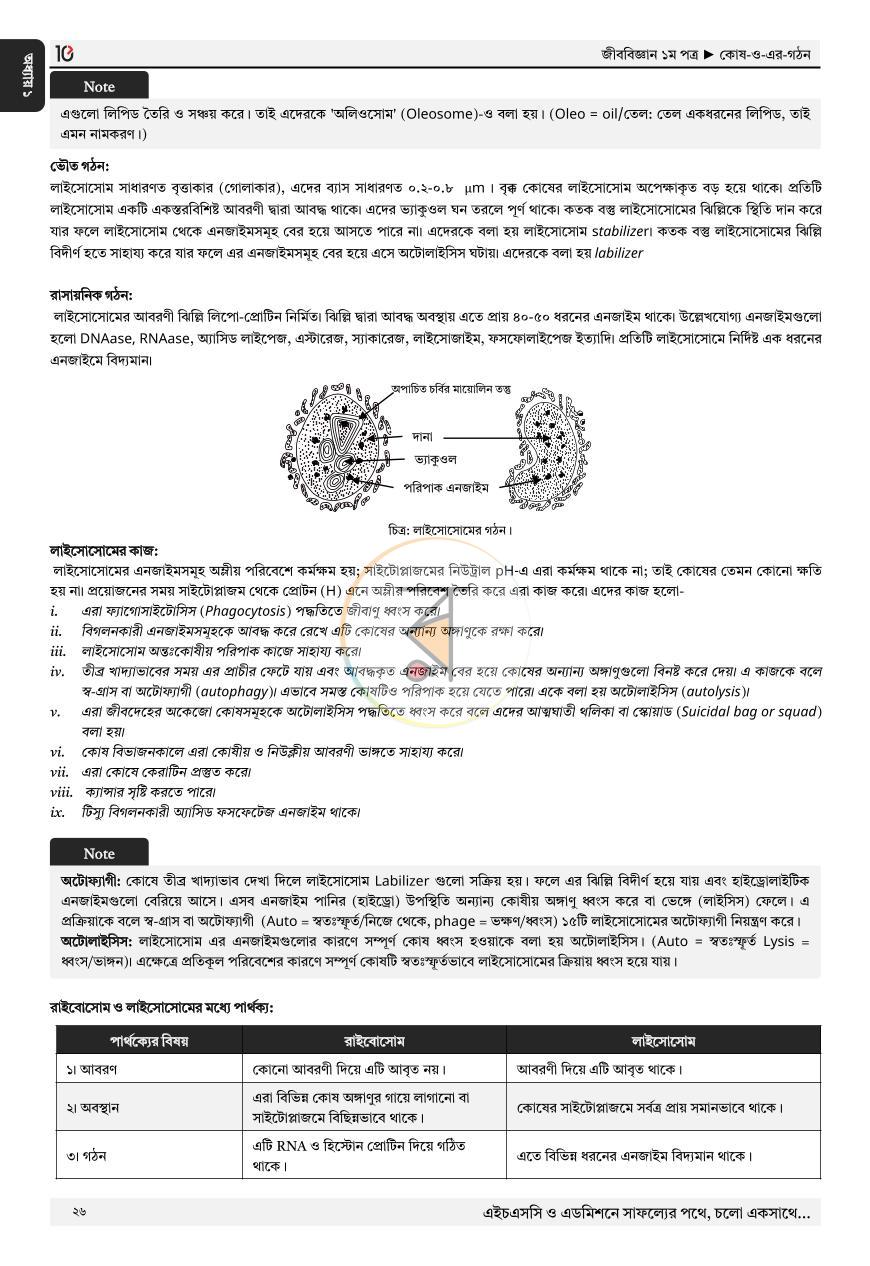 পাতা 22