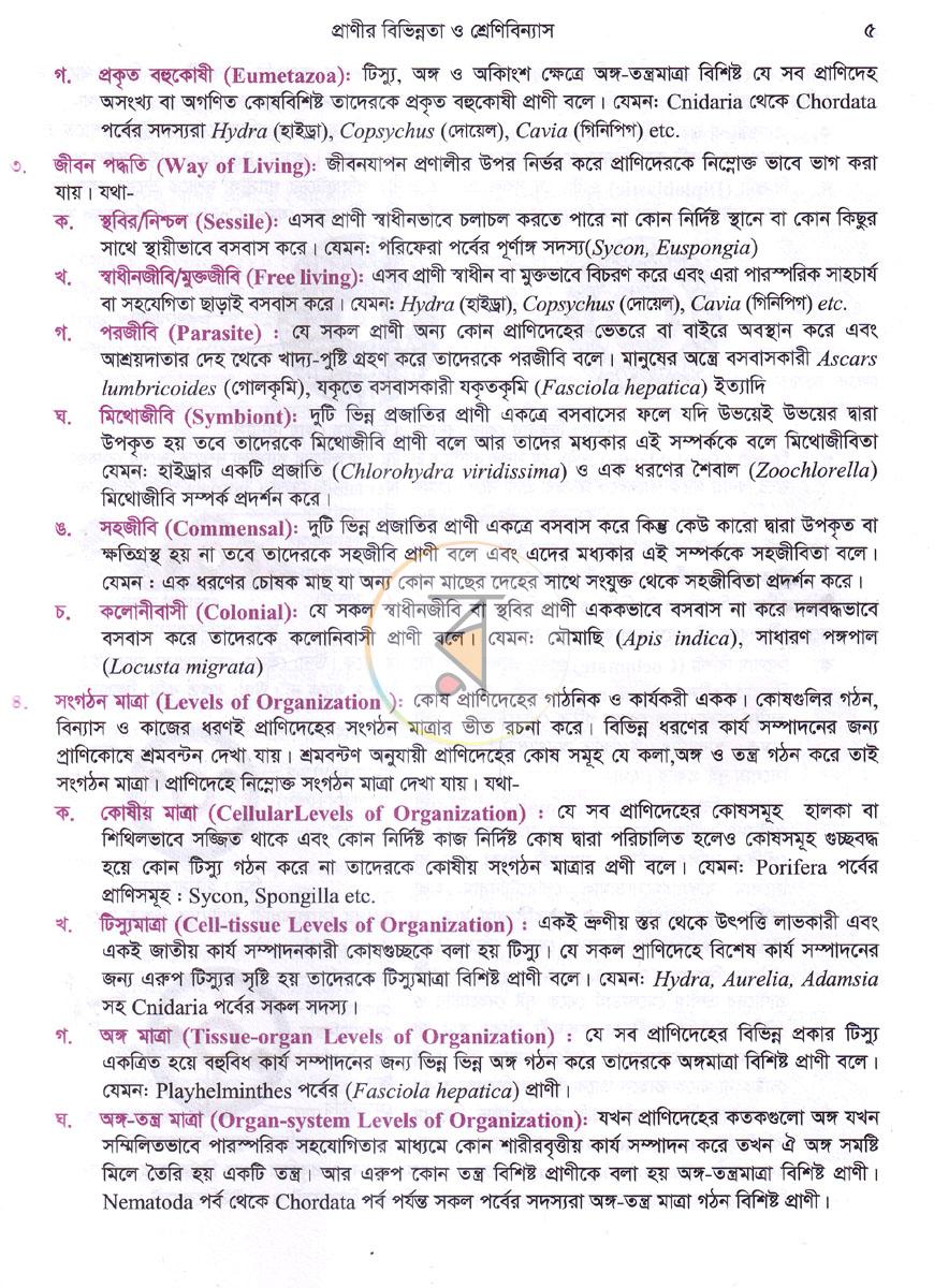 পাতা 8