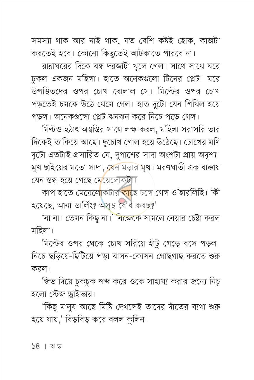 পাতা 13