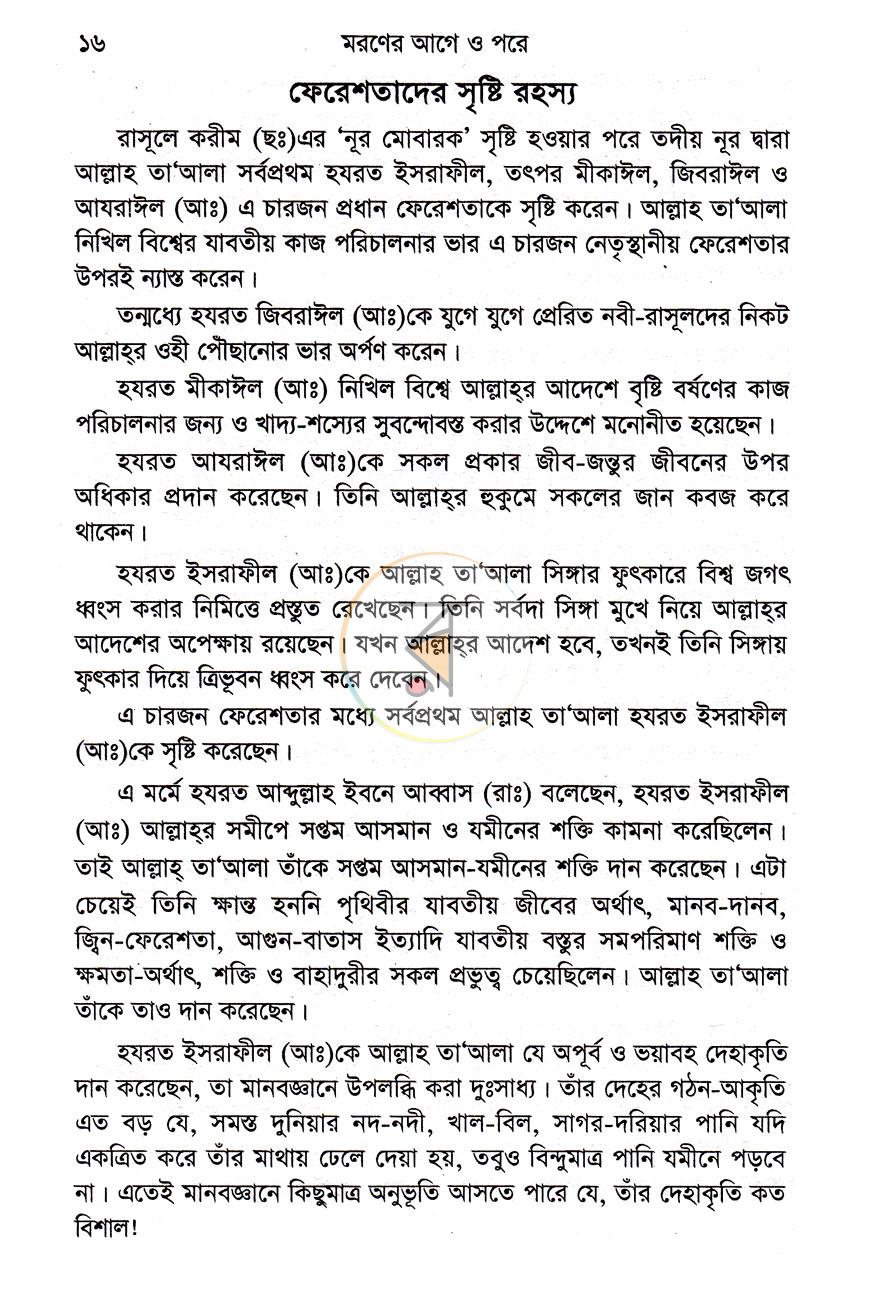 পাতা 10