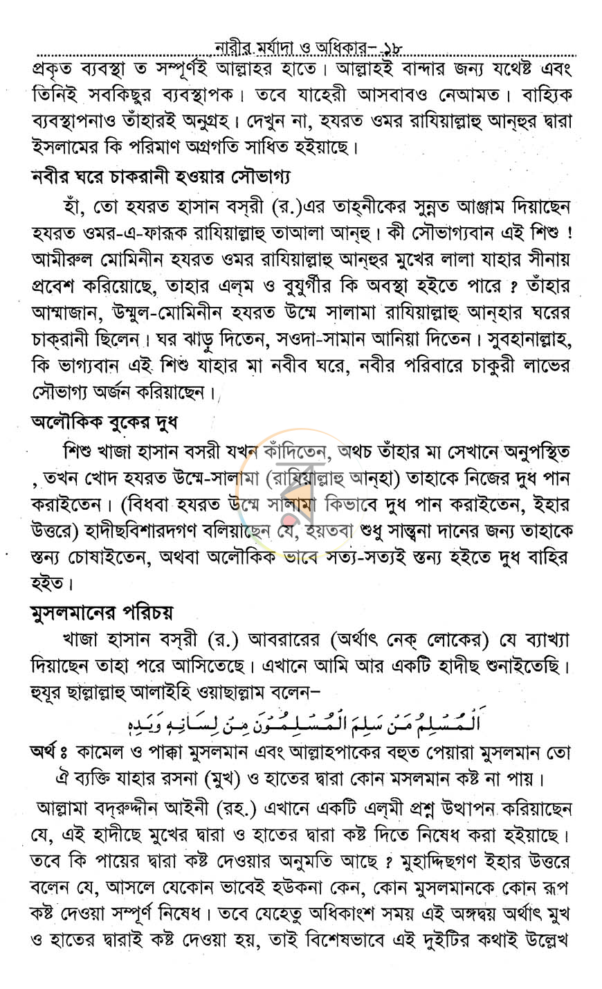 পাতা 11