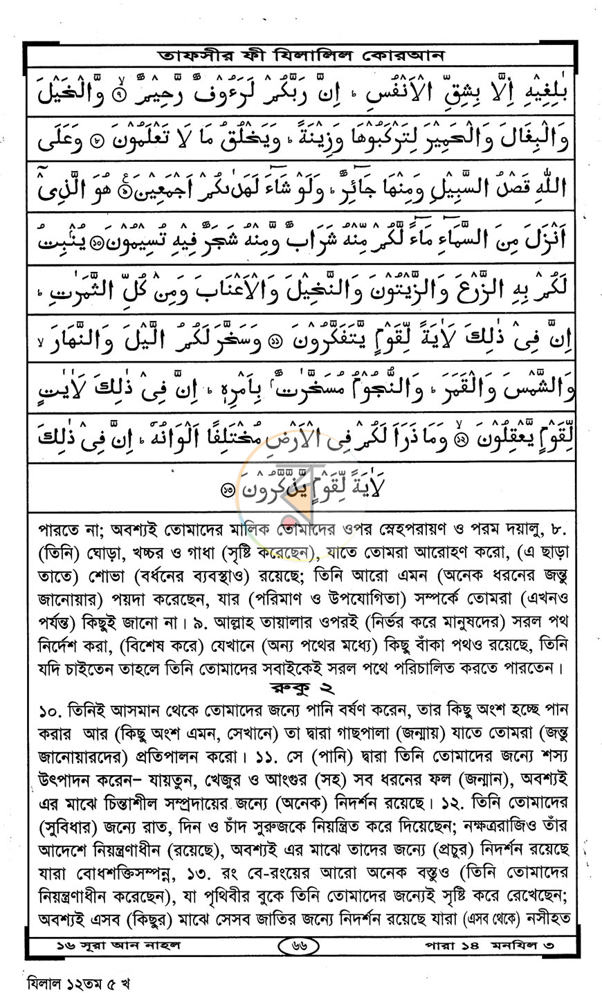 পাতা 11