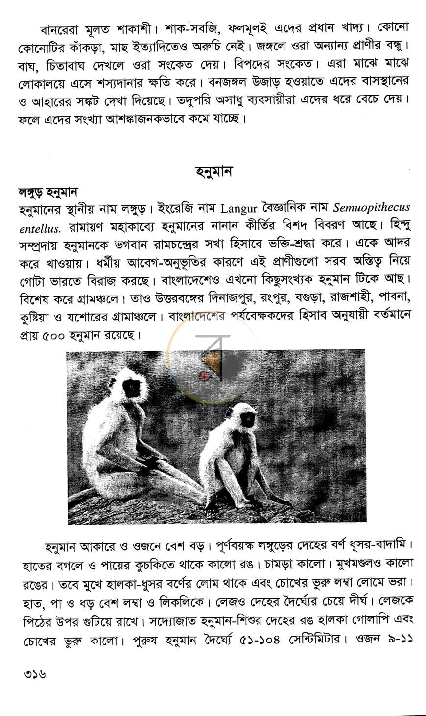 পাতা 21