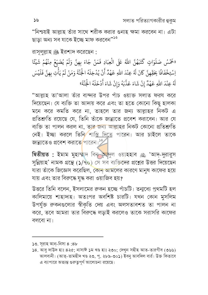 পাতা 13