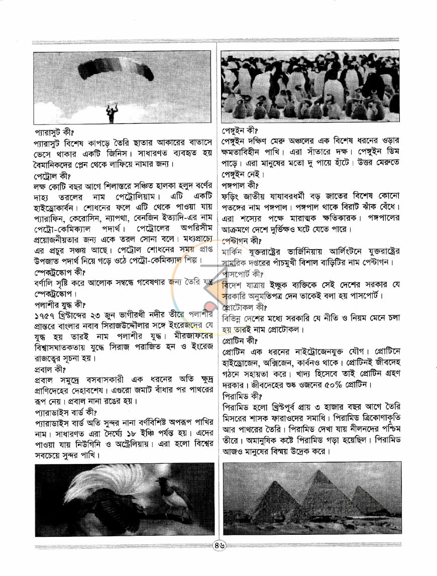 পাতা 9