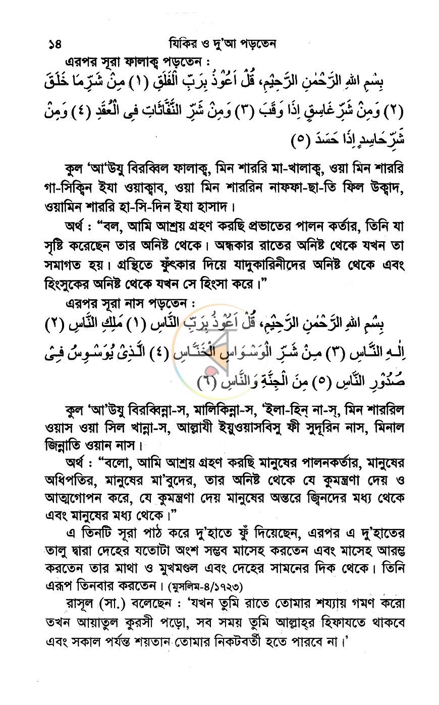 পাতা 11
