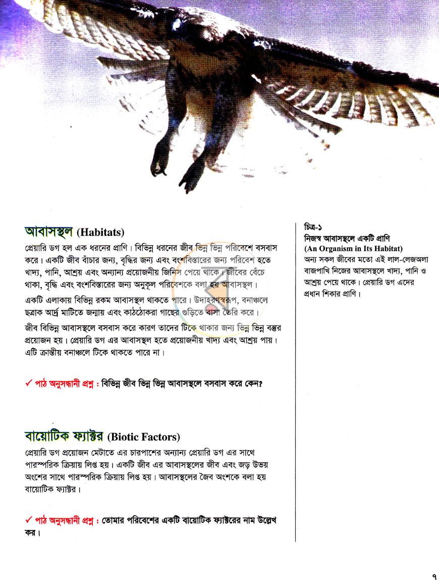 পাতা 7