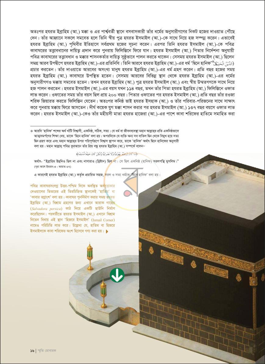 পাতা 12