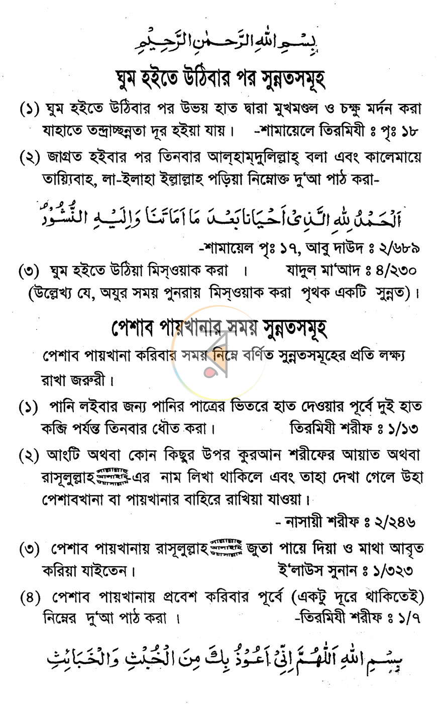 পাতা 8