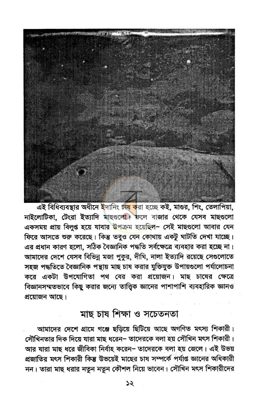পাতা 11