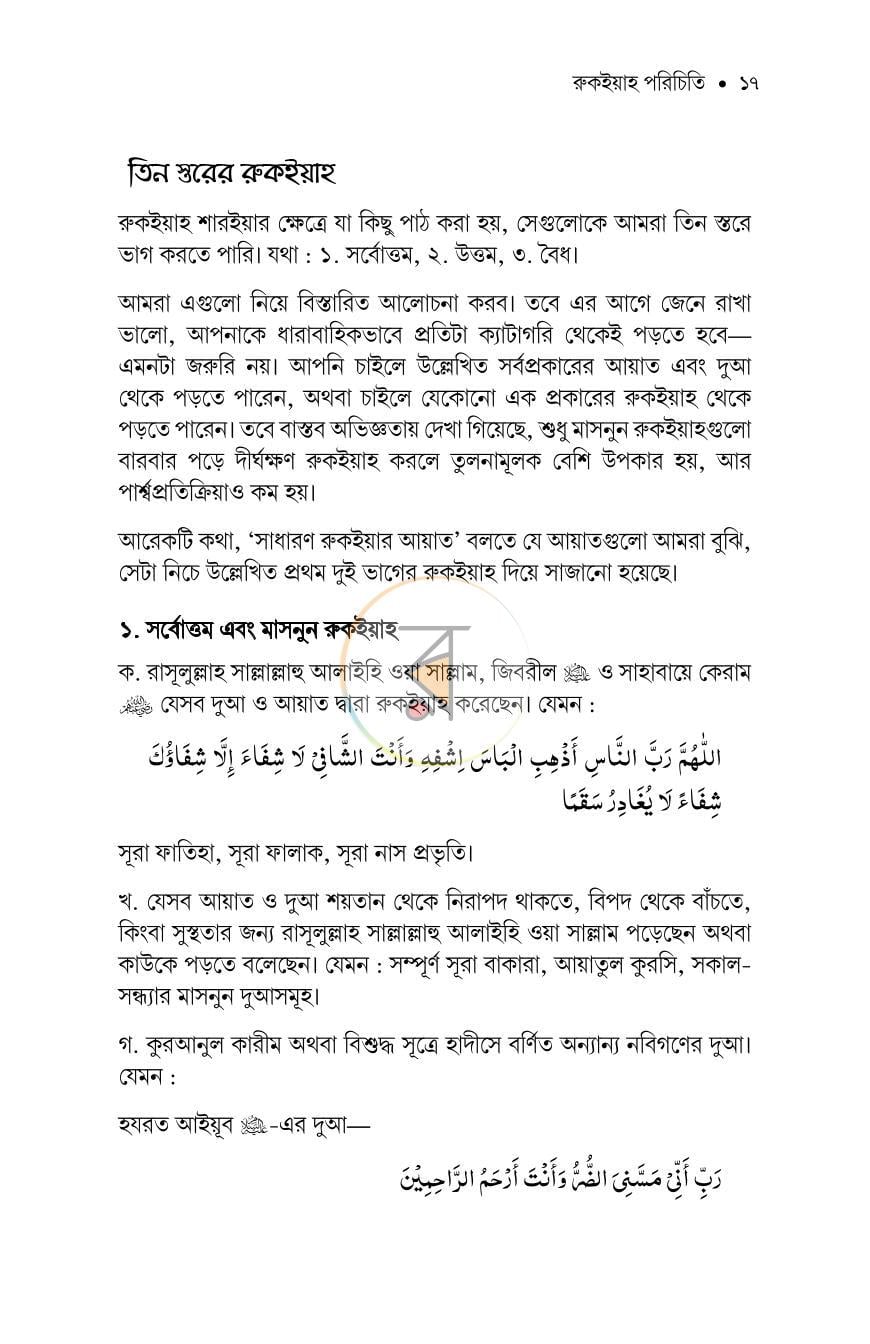 পাতা 13