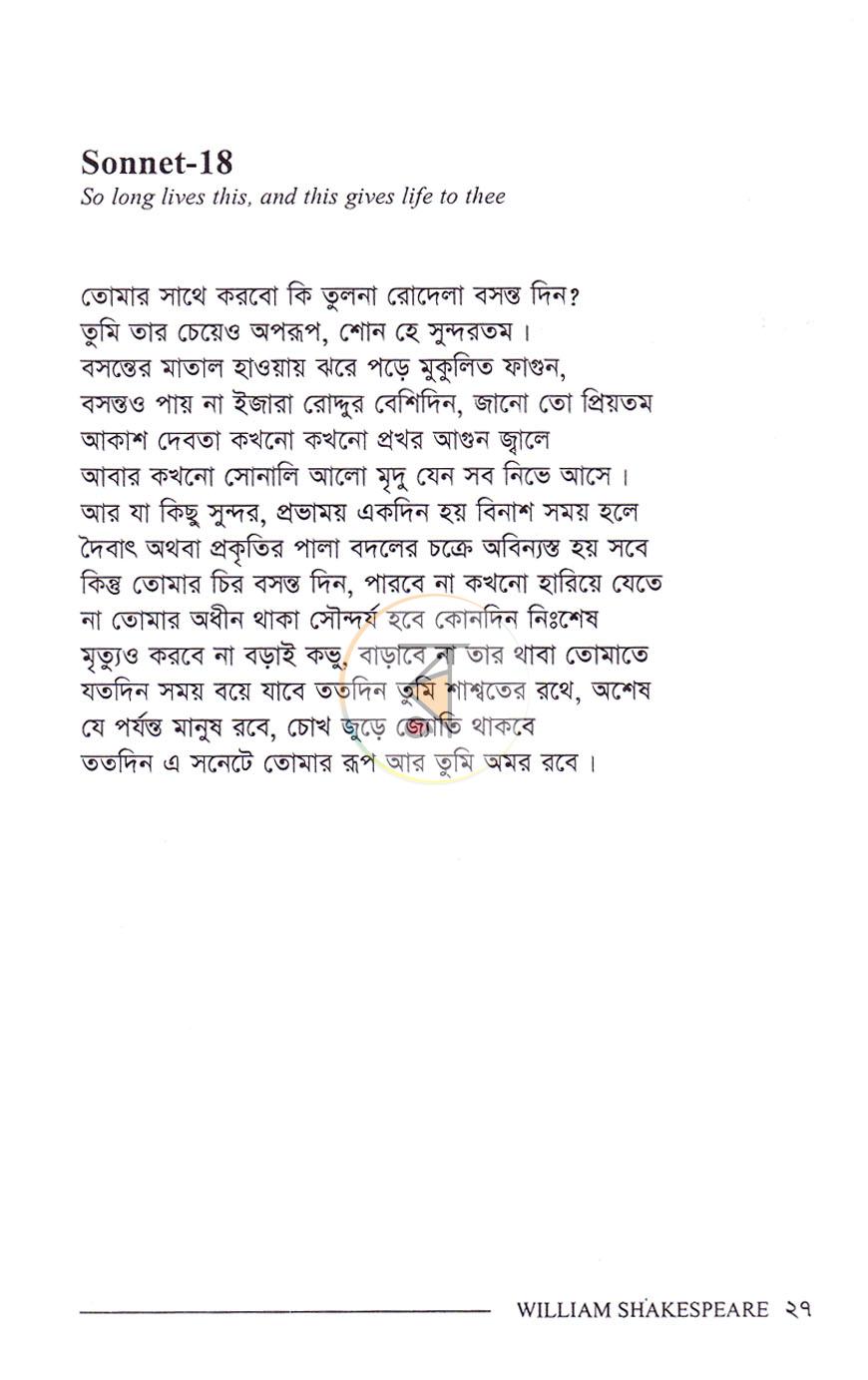 পাতা 13