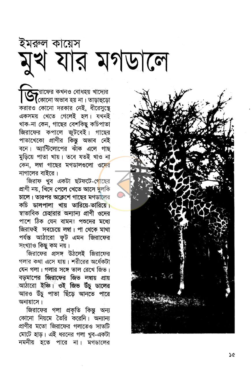 পাতা 7