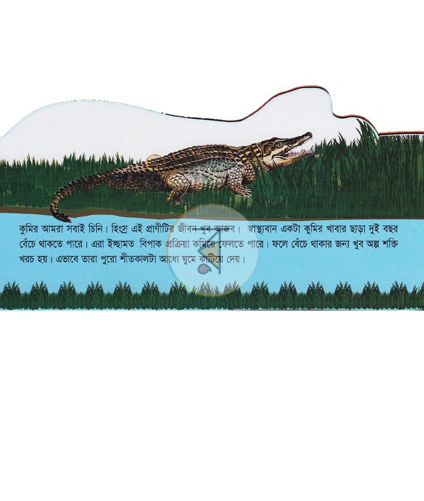পাতা 2