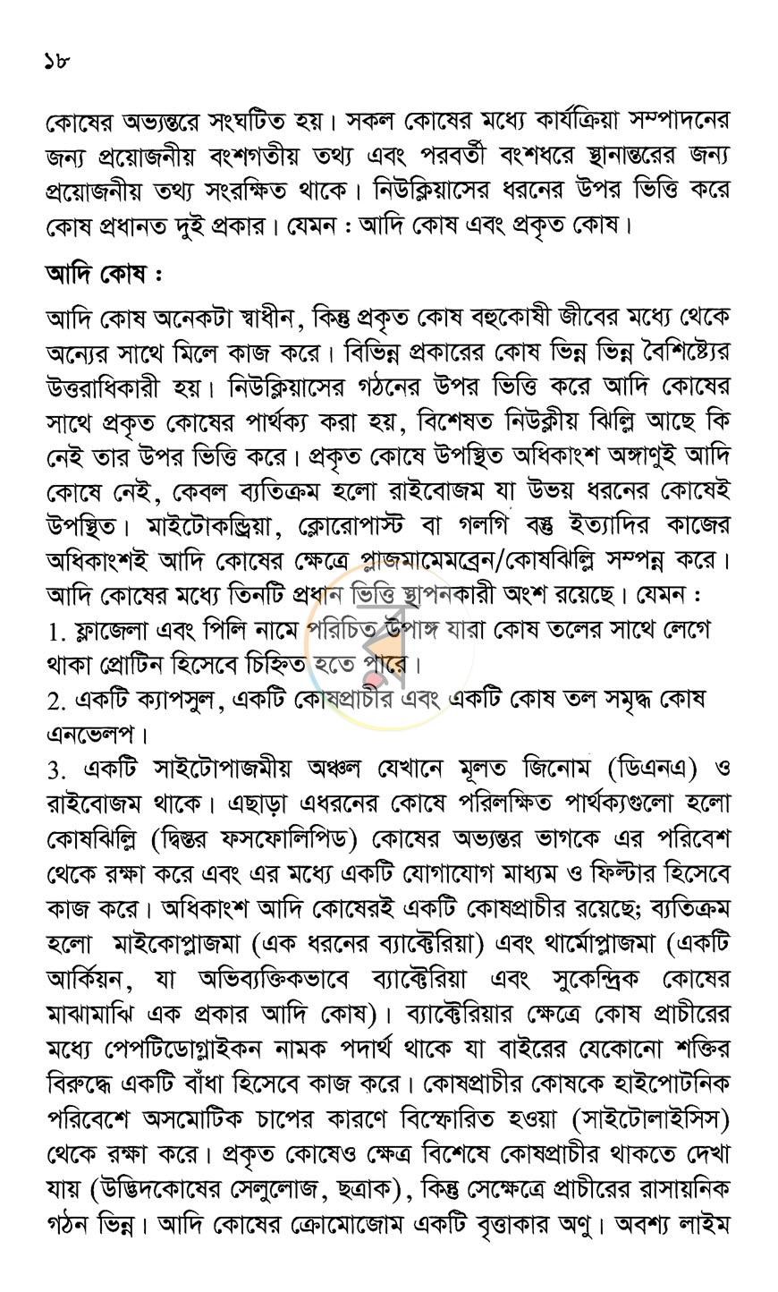 পাতা 9