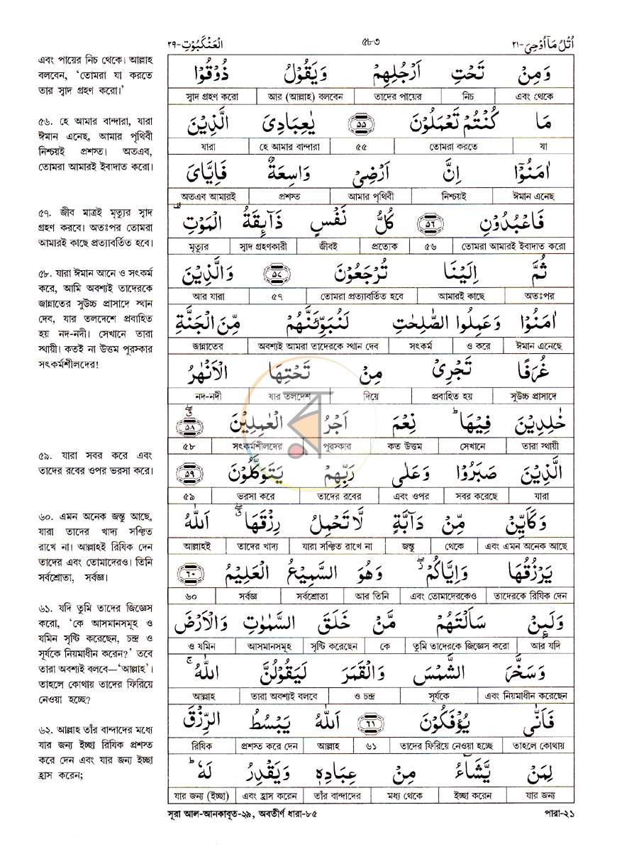 পাতা 25