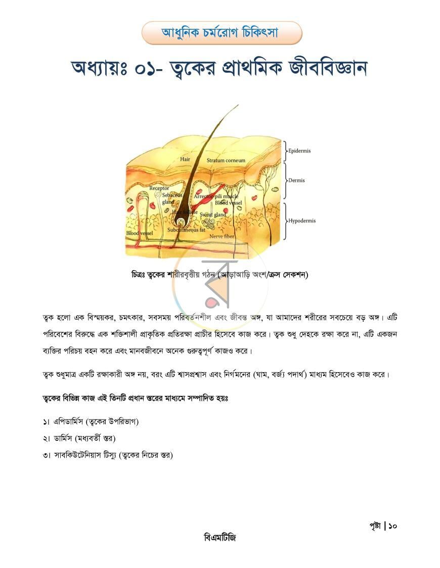 পাতা 10