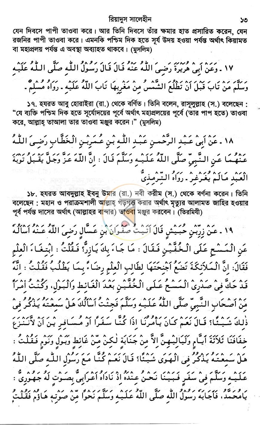 পাতা 13