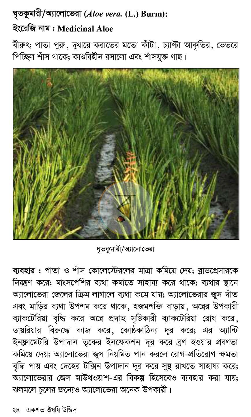 পাতা 17