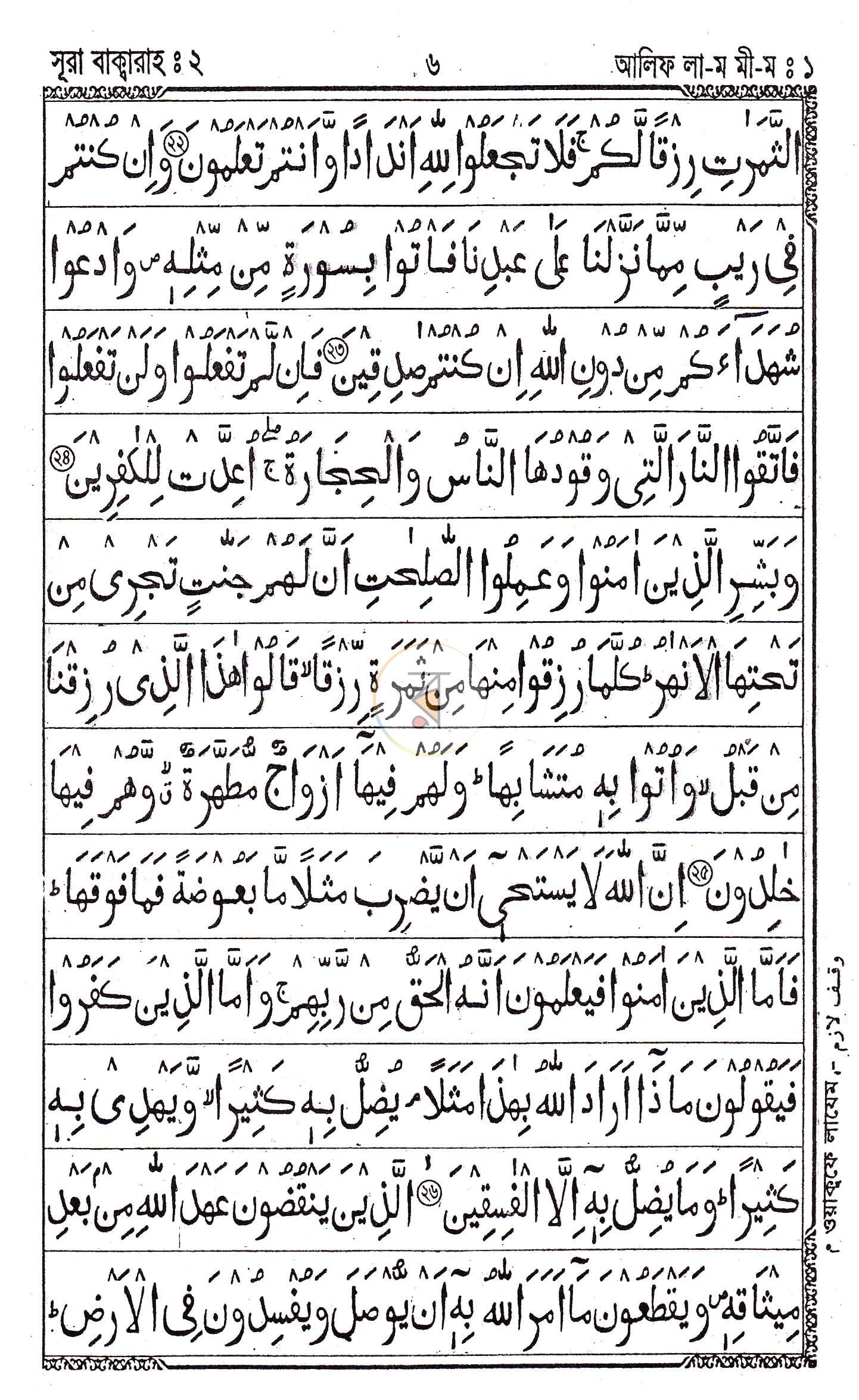 পাতা 6