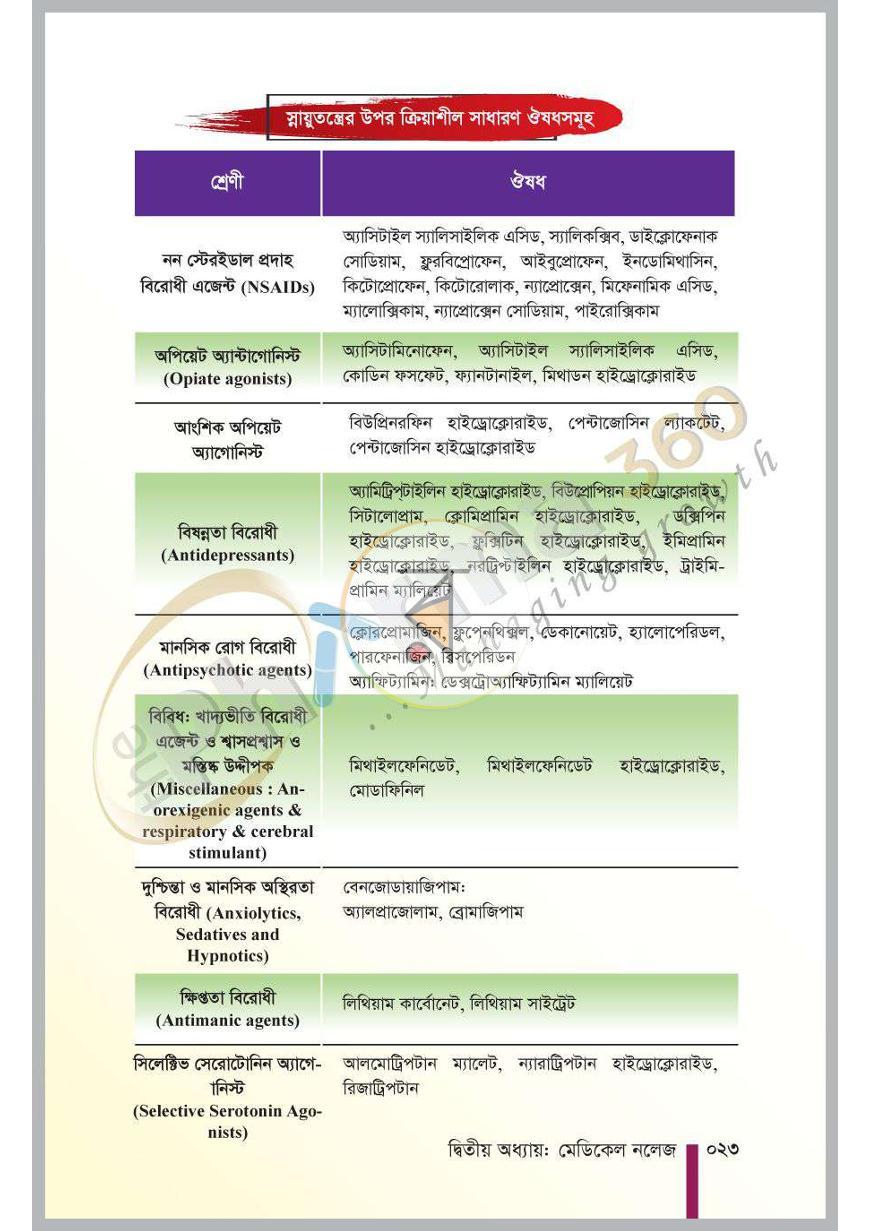 পাতা 8