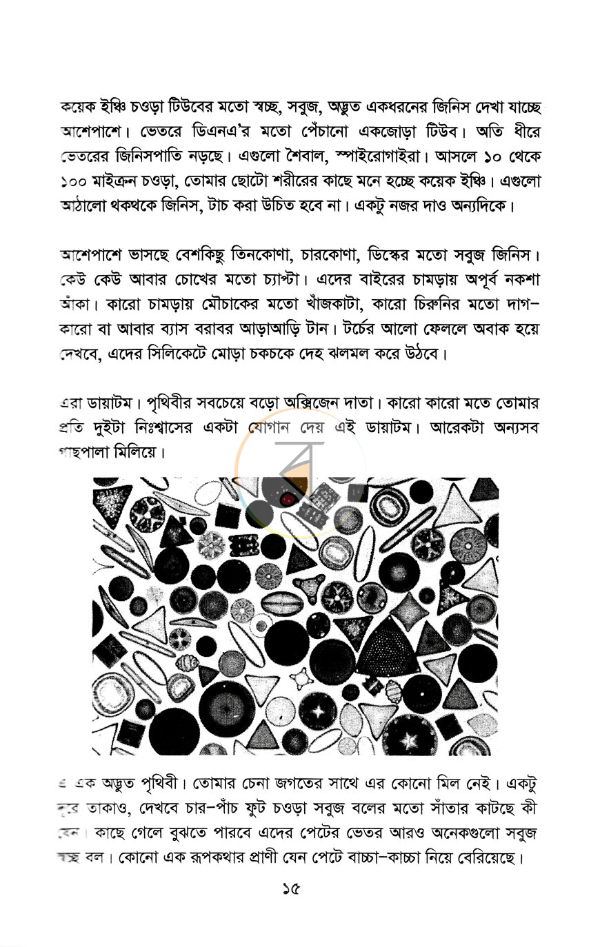 পাতা 8