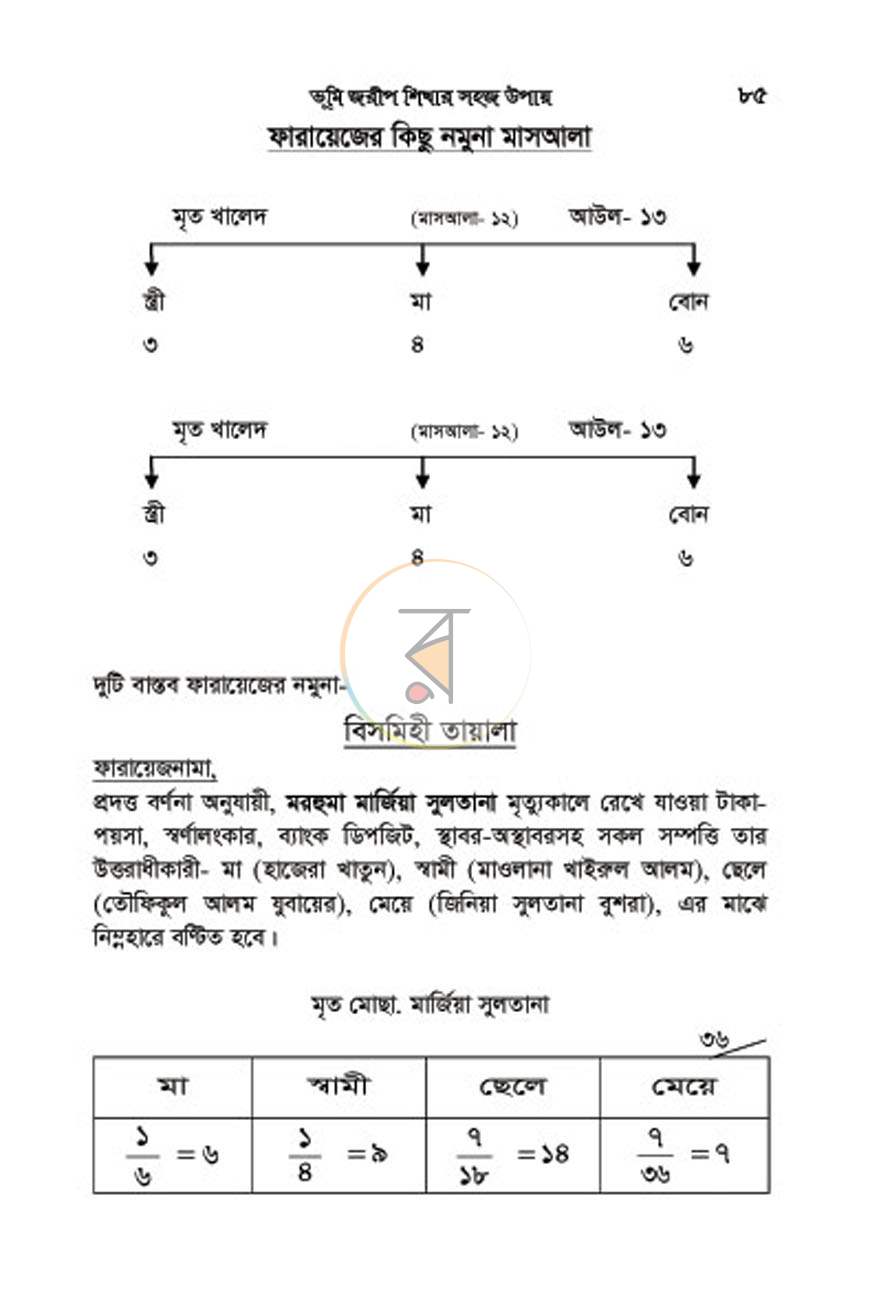 পাতা 8