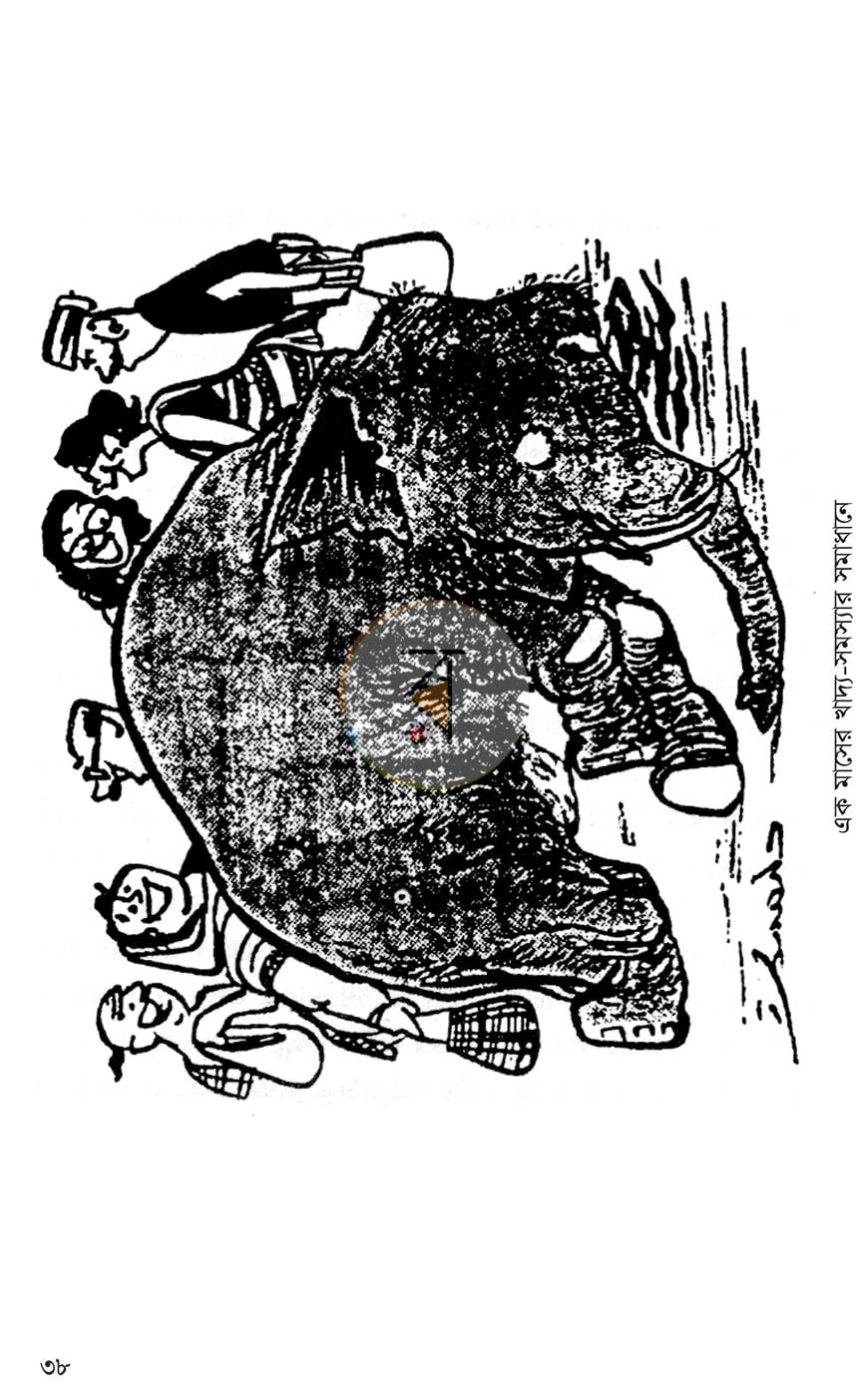 পাতা 13