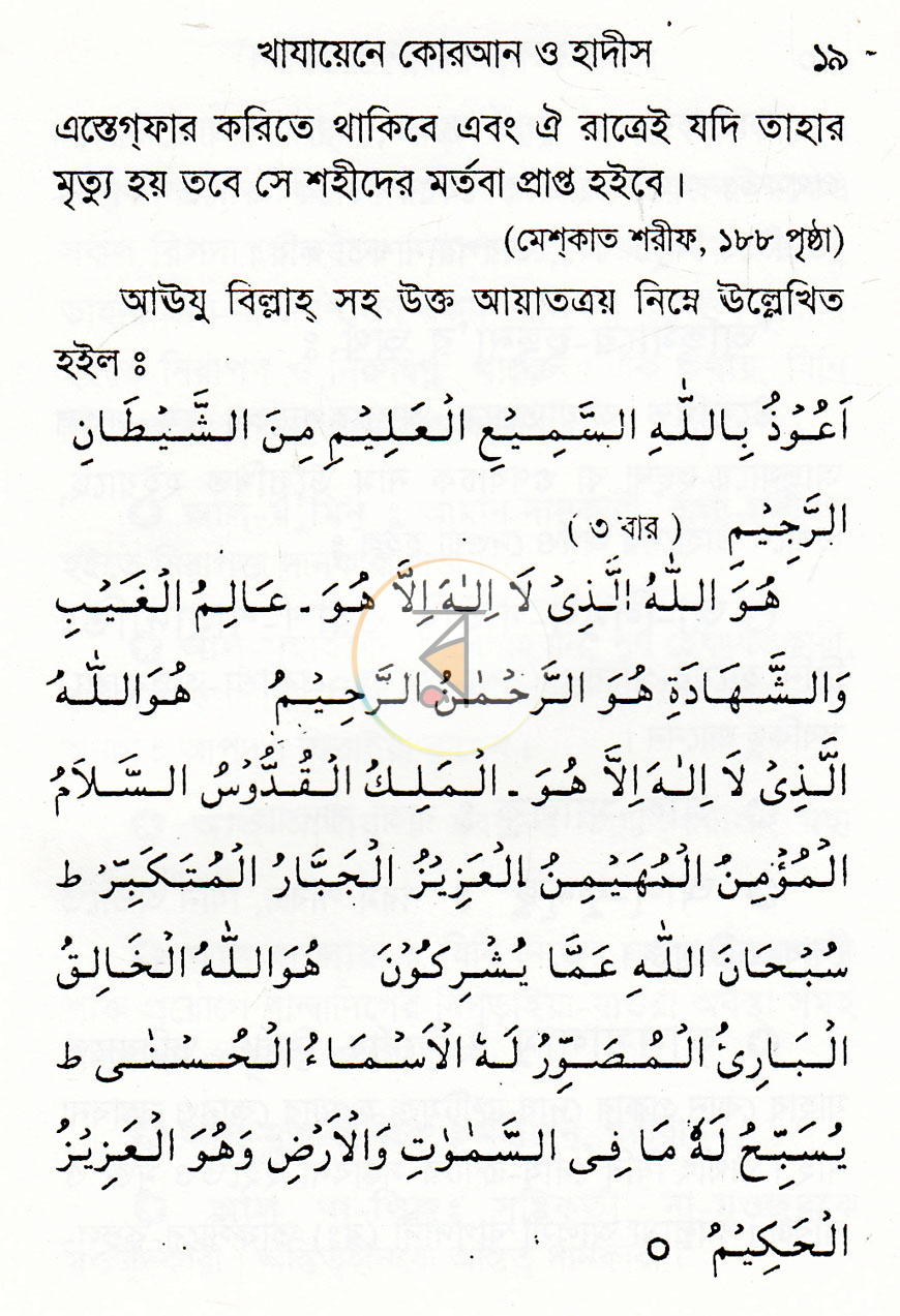 পাতা 11