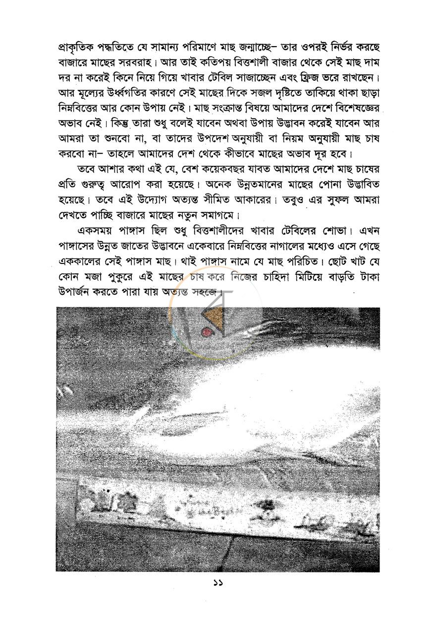 পাতা 10