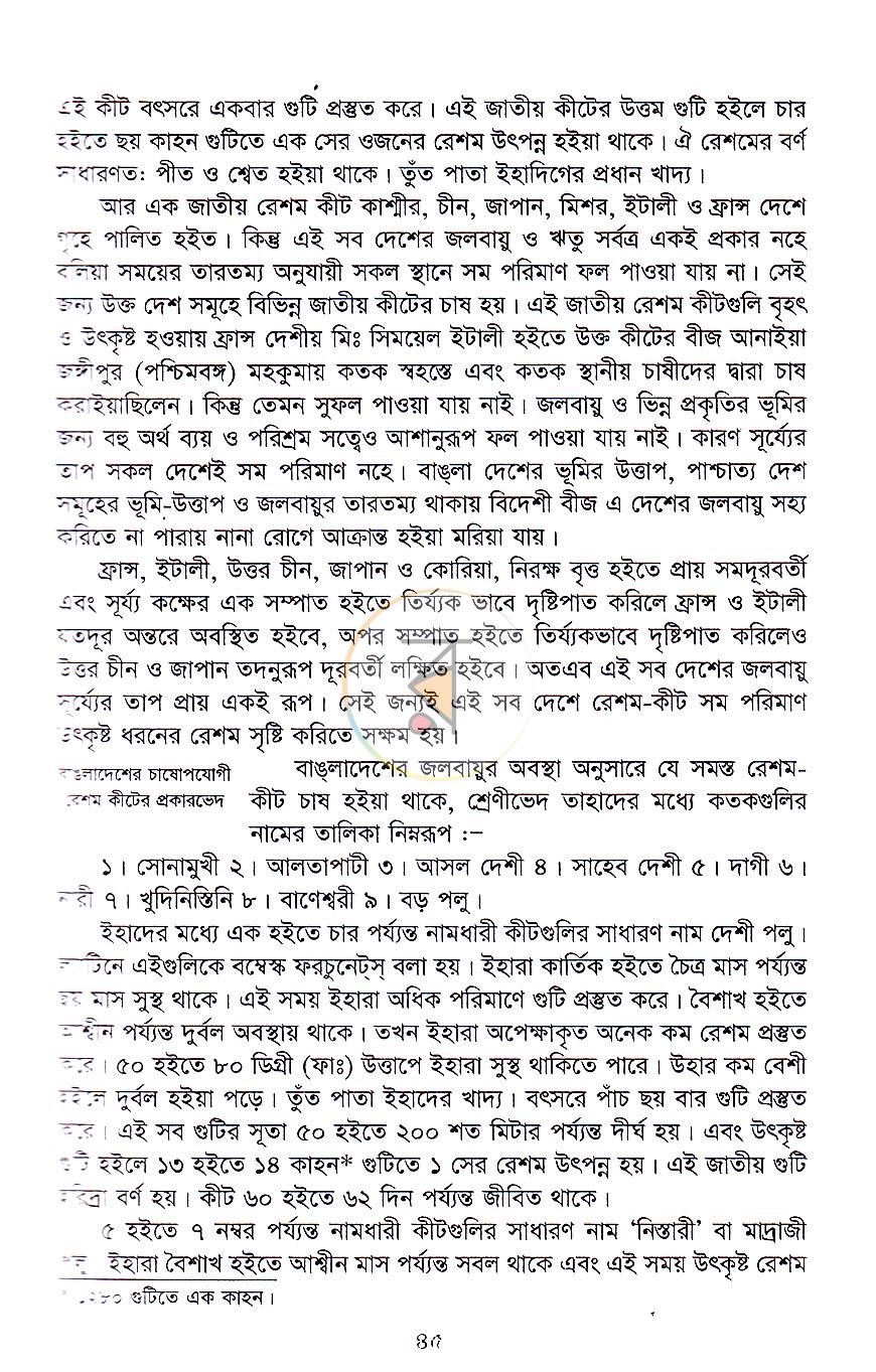 পাতা 19