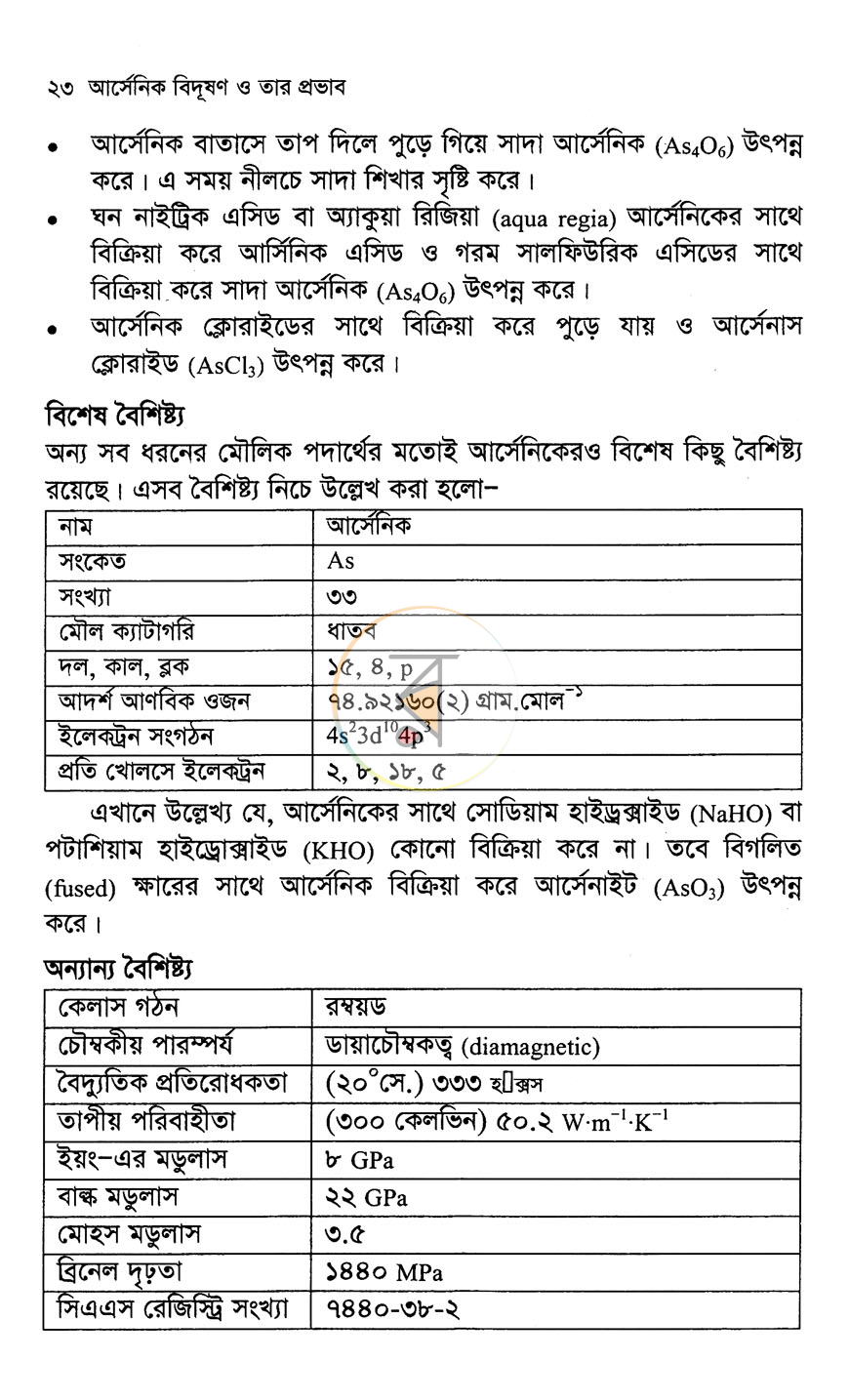 পাতা 13