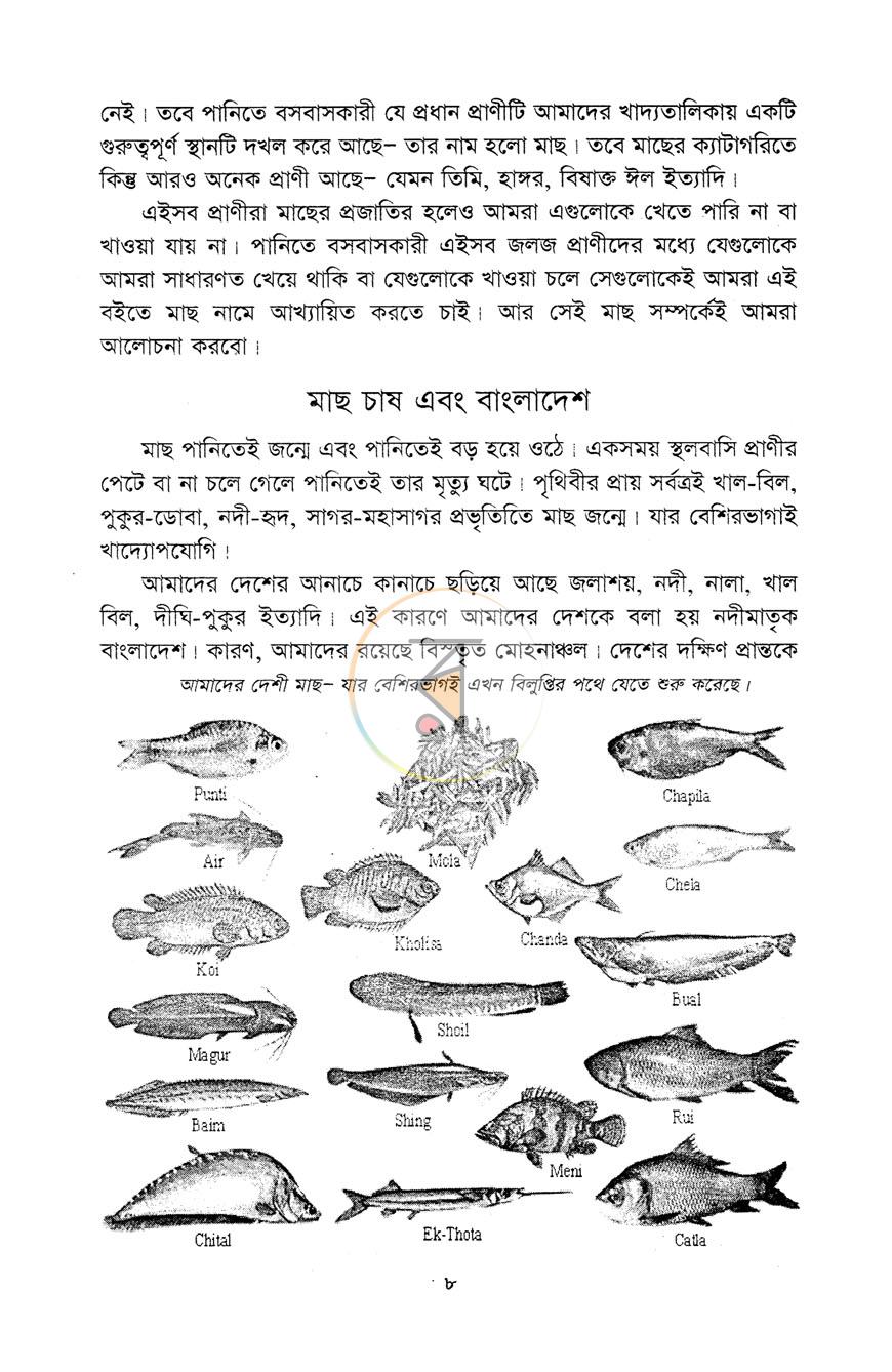পাতা 7