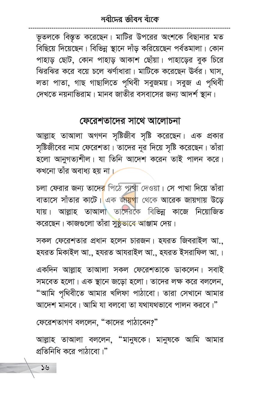 পাতা 11