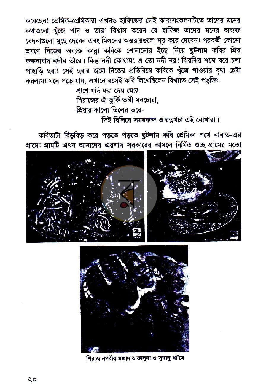 পাতা 10