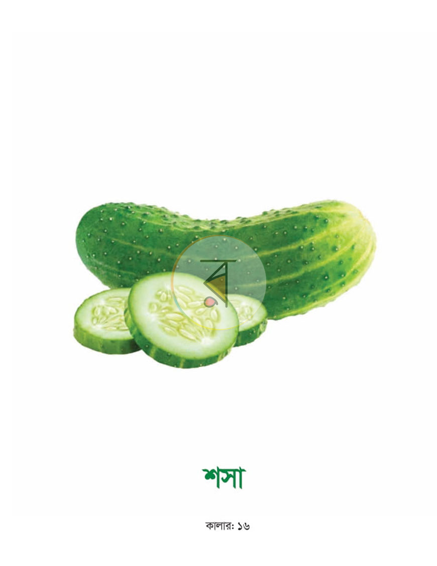 পাতা 26