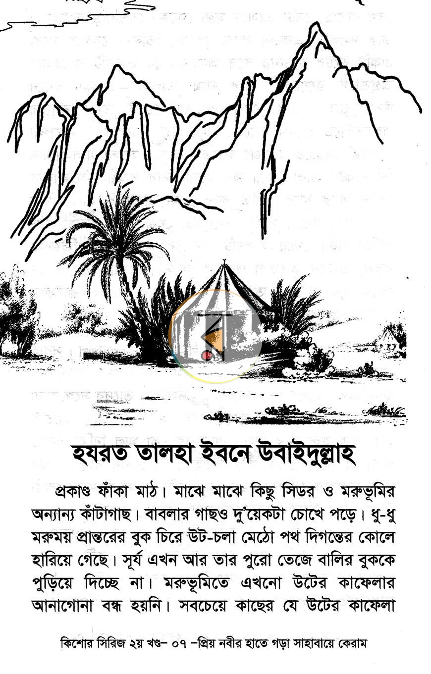 পাতা 13