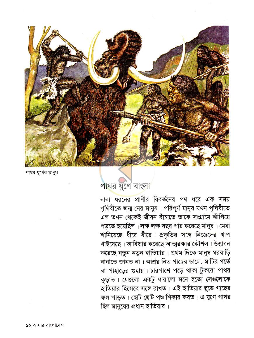 পাতা 8